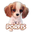 స్టికర్