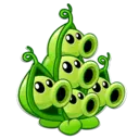 Կպչուն պիտակ