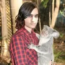 স্টিকার