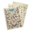 ស្ទីកเกอร์