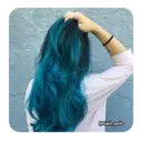 ස්ටිකර්