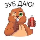 สติกเกอร์