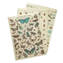 ស្ទីកเกอร์