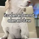 স্টিকার