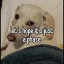 স্টিকার