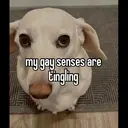 স্টিকার