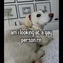 স্টিকার