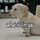 স্টিকার