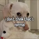 স্টিকার