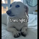 স্টিকার