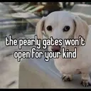 স্টিকার