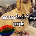 স্টিকার