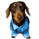 స్టికర్