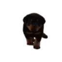 స్టికర్