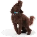 స్టికర్