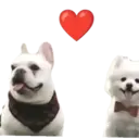 స్టికర్