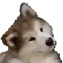 స్టికర్