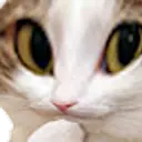 สติกเกอร์