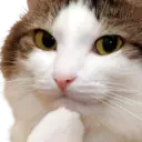 สติกเกอร์