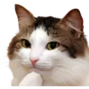 สติกเกอร์