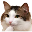 สติกเกอร์