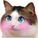 สติกเกอร์