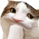 สติกเกอร์