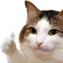 สติกเกอร์