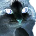 สติกเกอร์