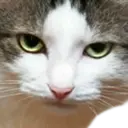 สติกเกอร์