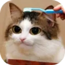 สติกเกอร์