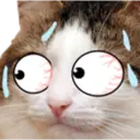 สติกเกอร์