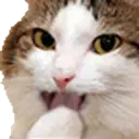 สติกเกอร์