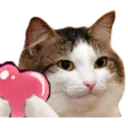 สติกเกอร์