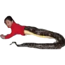 สติกเกอร์