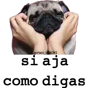 Կպչուն պիտակ