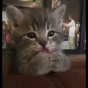 ස්ටිකර්