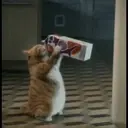 ස්ටිකර්