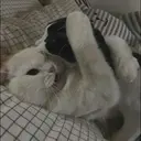 ස්ටිකර්