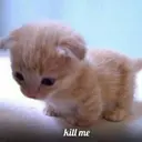 ස්ටිකර්