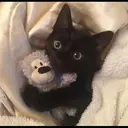 ස්ටිකර්