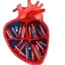 ස්ටිකර්