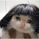 Կպչուն պիտակ