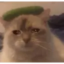 Կպչուն պիտակ