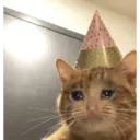 Կպչուն պիտակ