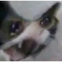 Կպչուն պիտակ