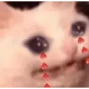 Կպչուն պիտակ