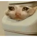 Կպչուն պիտակ