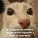 Կպչուն պիտակ