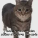 Կպչուն պիտակ